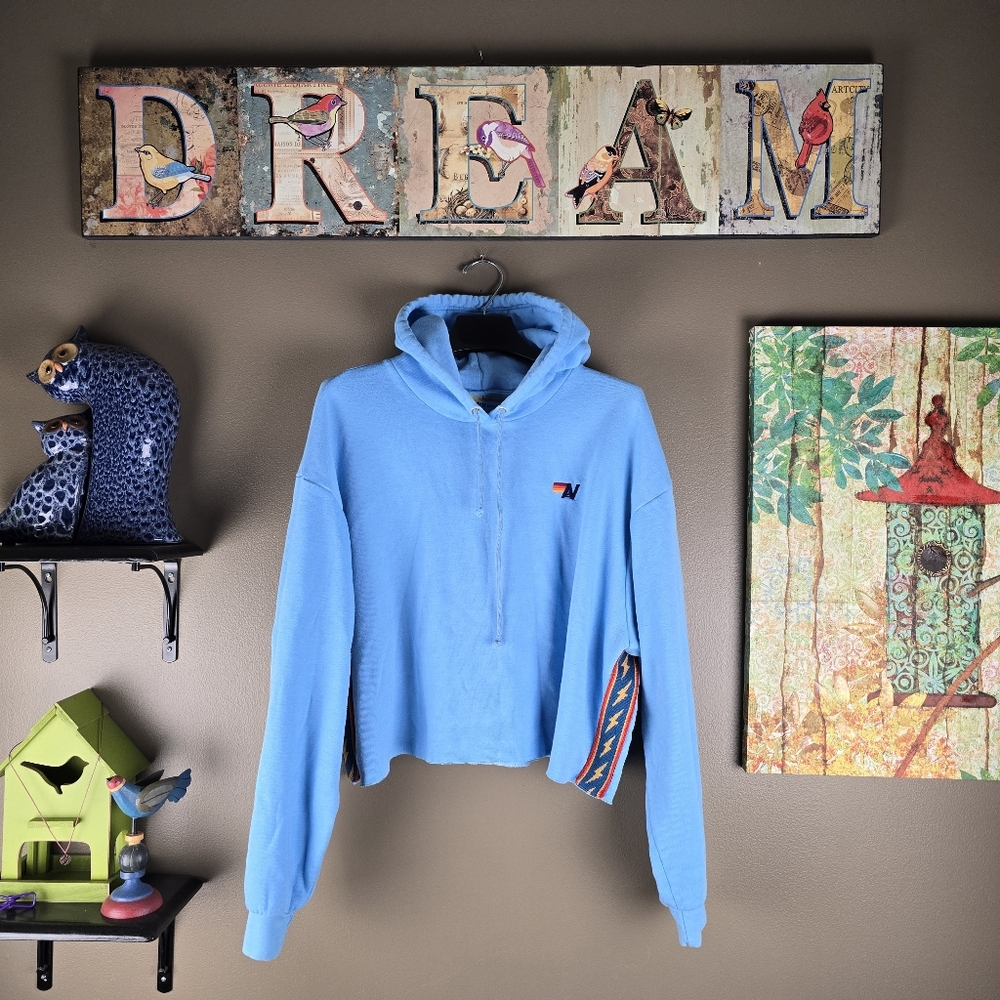 Aviator Nation Bolt Stripe Relaxed Cropped Hoodie Sweatshirt Sky Blue Large - Picture 9 of 14